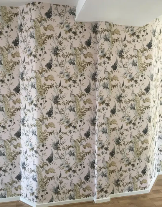 PHOTO-2024-12-30-23-10-04(2)