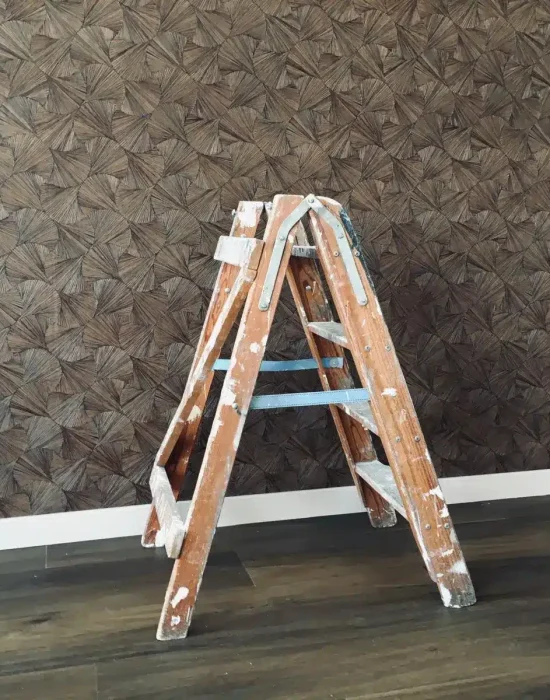 PHOTO-2024-12-30-23-10-05(1)