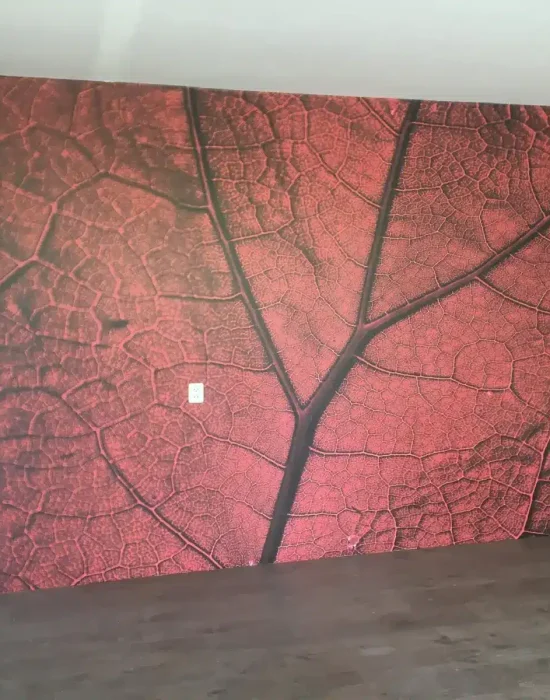 PHOTO-2025-01-04-18-07-33