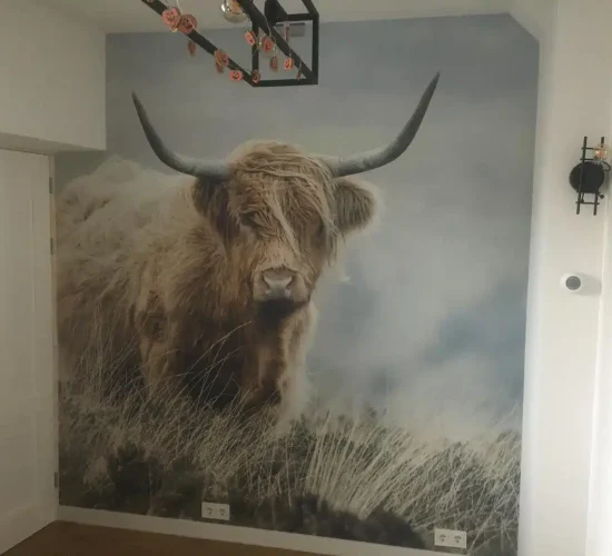 PHOTO-2025-01-04-18-07-33(1)