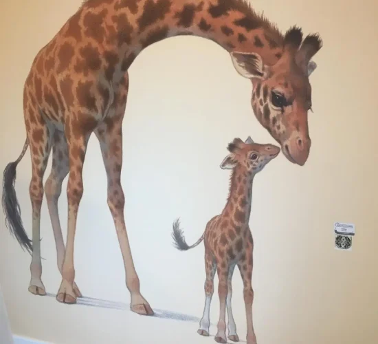 PHOTO-2025-01-04-18-07-33(6)