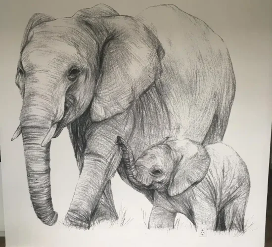 PHOTO-2025-01-04-18-07-33(7)