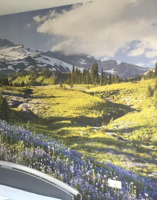 WhatsApp Image 2024-03-21 at 10.29.32 AM