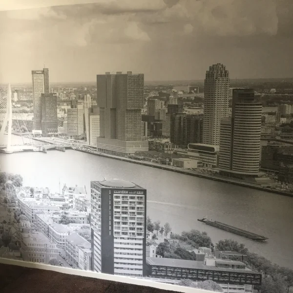 WhatsApp Image 2024-03-21 at 10.30.20 AM