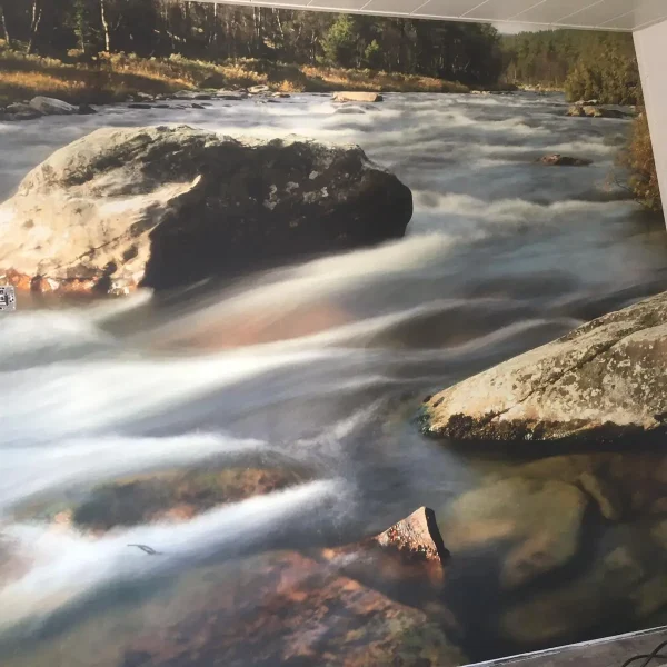 WhatsApp Image 2024-03-21 at 10.30.40 AM