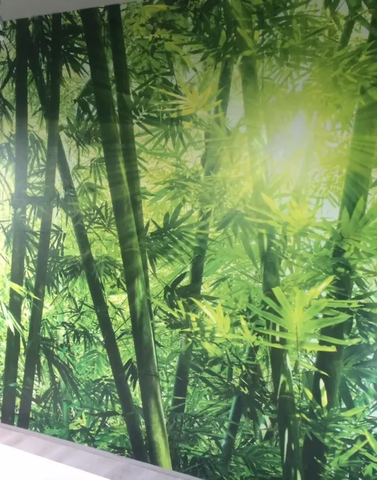 WhatsApp Image 2024-03-21 at 10.31.19 AM