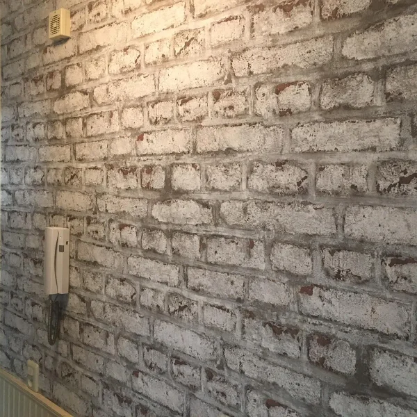 WhatsApp Image 2024-03-28 at 11.54.33 PM