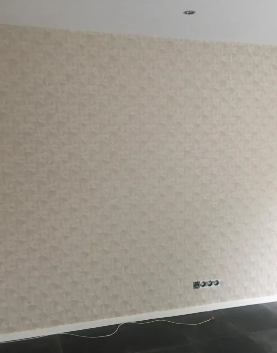 WhatsApp Image 2024-03-28 at 11.54.47 PM