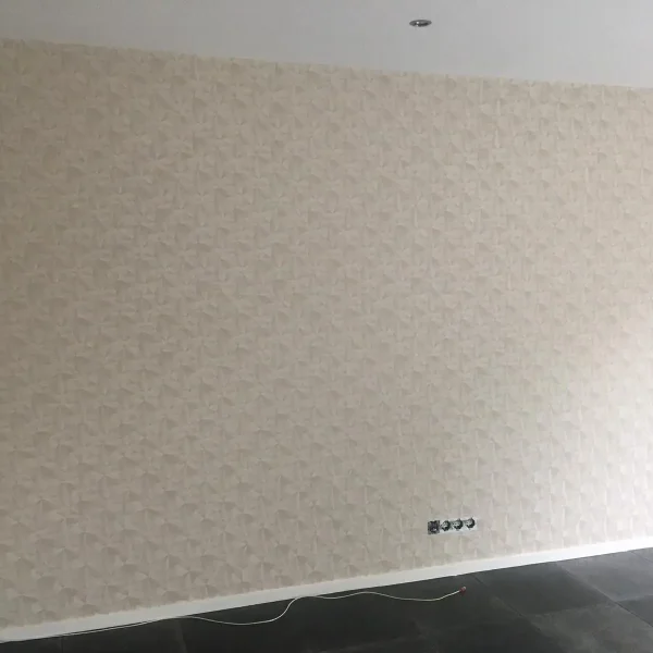 WhatsApp Image 2024-03-28 at 11.54.47 PM