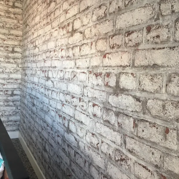 WhatsApp Image 2024-03-28 at 11.58.50 PM