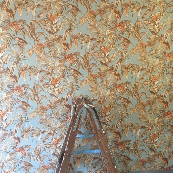 WhatsApp Image 2024-03-28 at 11.58.54 PM