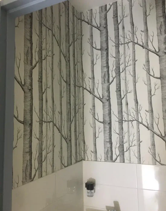 WhatsApp Image 2024-03-29 at 12.03.49 AM