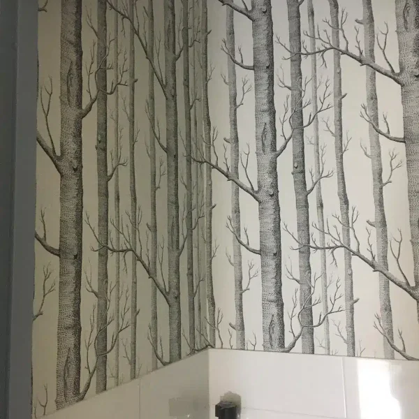 WhatsApp Image 2024-03-29 at 12.03.49 AM