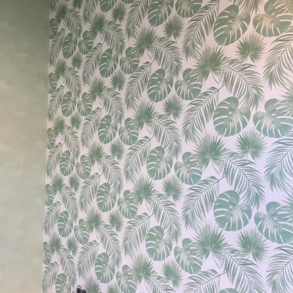 WhatsApp Image 2024-03-29 at 12.05.42 AM