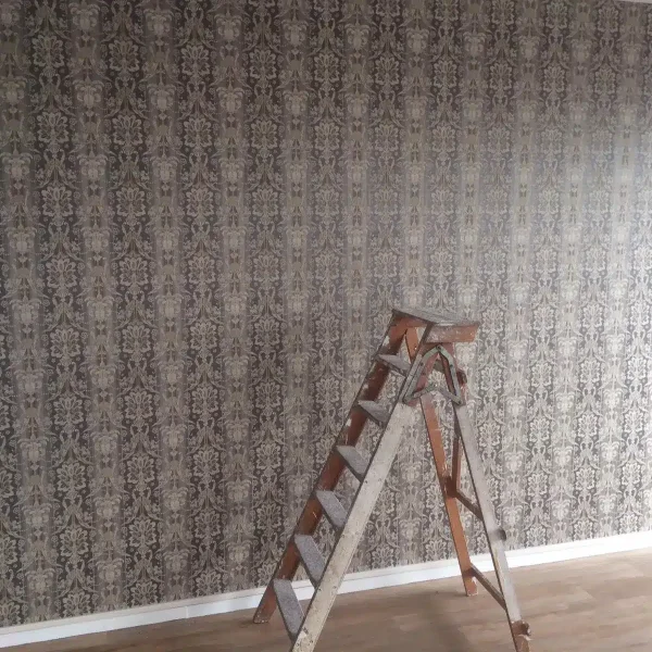 WhatsApp Image 2024-03-29 at 12.09.50 AM